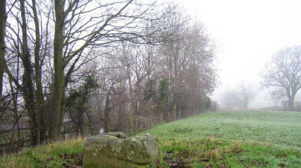 The Wroth Stone The Wroth Stone lies atop a low mound, close to the A45, and is found just off the public footpath to the left of the properties opposite Freeboard Lane. For more information on this ancient site I suggest looking at www.themodernantiquarian.com/site/2452
