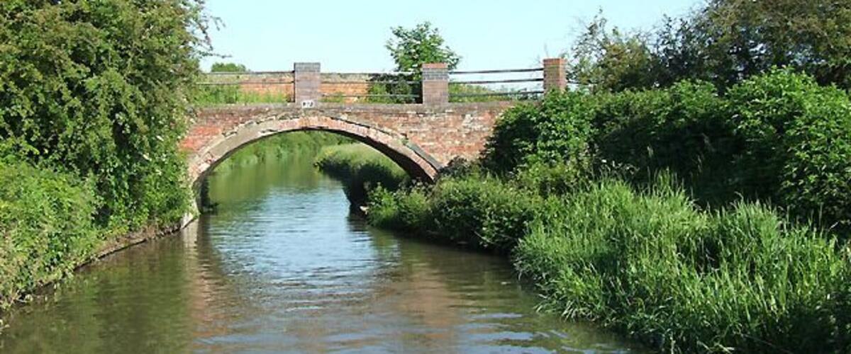 A stone bridge over a calm river, surrounded by lush greenery.