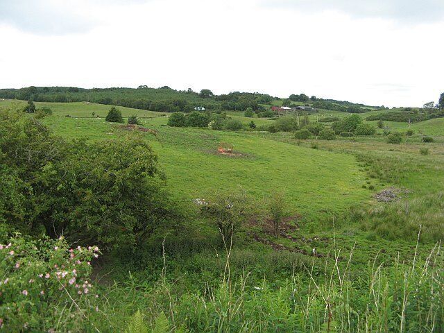 Wetland by Kilmacolm Road View from the railway trackbed towards Barlogan Farm over some wetland.
