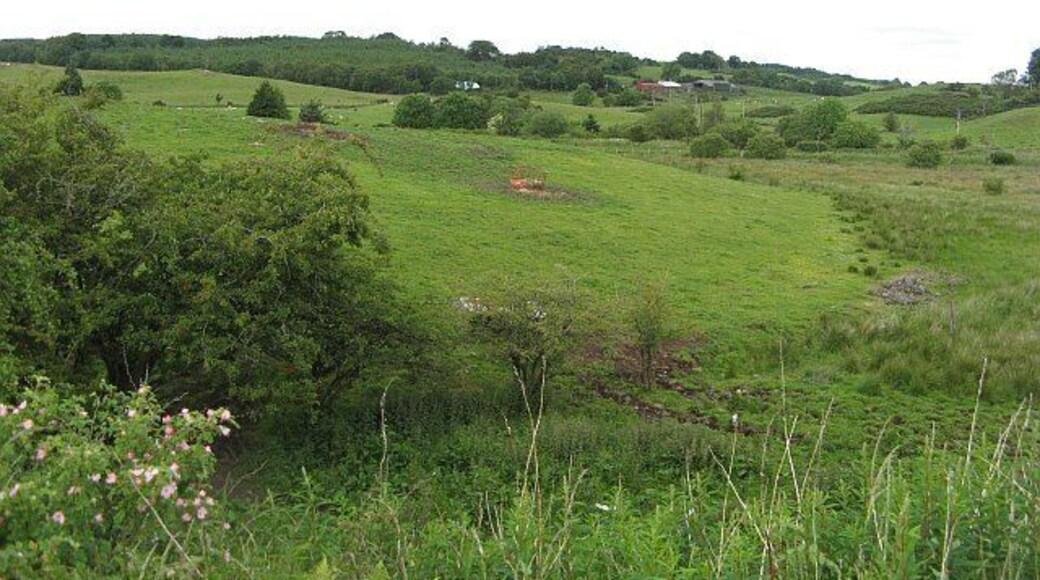 Wetland by Kilmacolm Road View from the railway trackbed towards Barlogan Farm over some wetland.