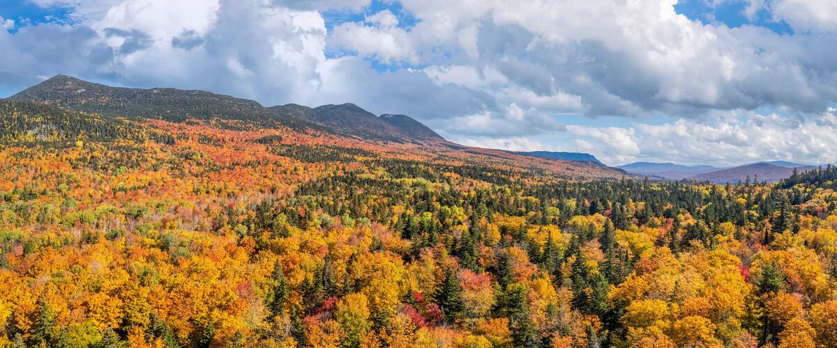 A forested mountain range with autumn foliage.