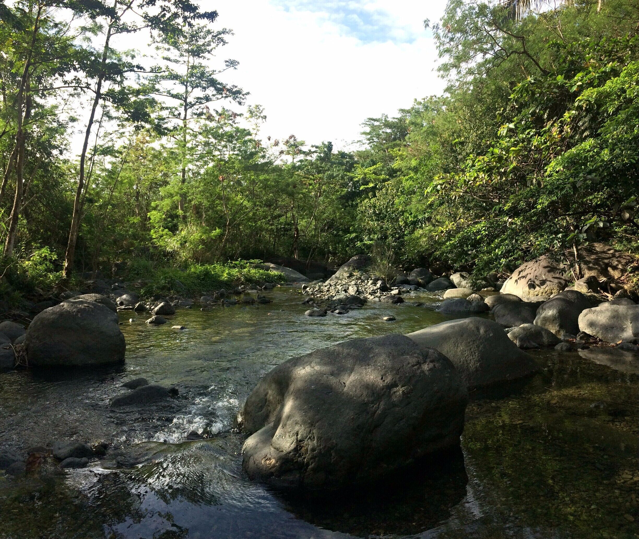 It was just a 15-minute hike to Maligaya Park Resort and down to this wonderful stream. It was early in the morning on a weekday so fortunately, I got the whole area for myself. 

The gentle sound of the water flowing on the stream, fresh kisses of air on my skin and birds chirping on the trees, for me was nature's way of saying it's what I needed at that moment. Plus, who does not want the thrill of bathing on this stream alone? 

One with nature. Peacefulness and Tranquility achieved!