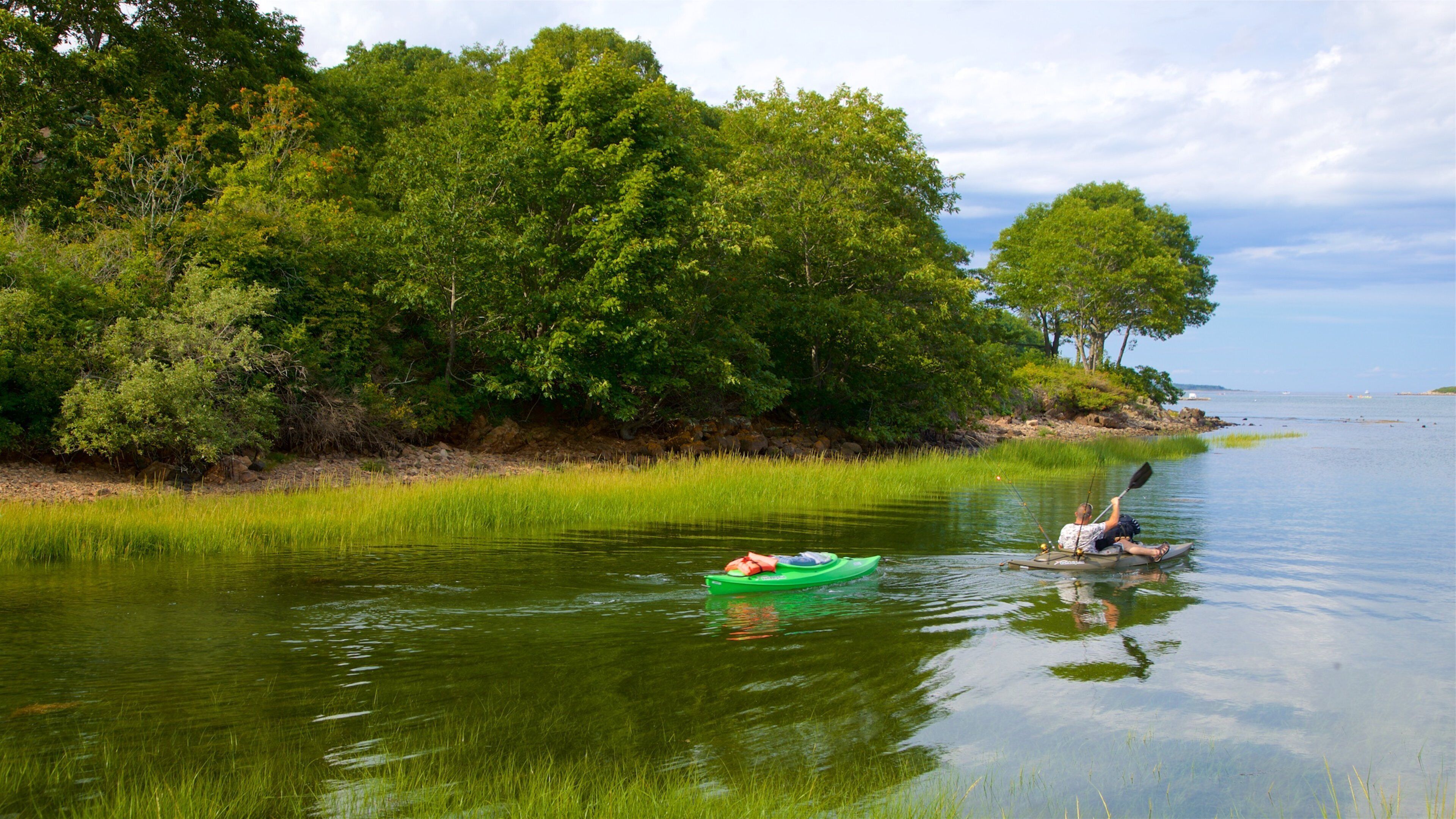 Cape Porpoise mostrando caiaque ou canoagem e um lago ou charco assim como um homem sozinho