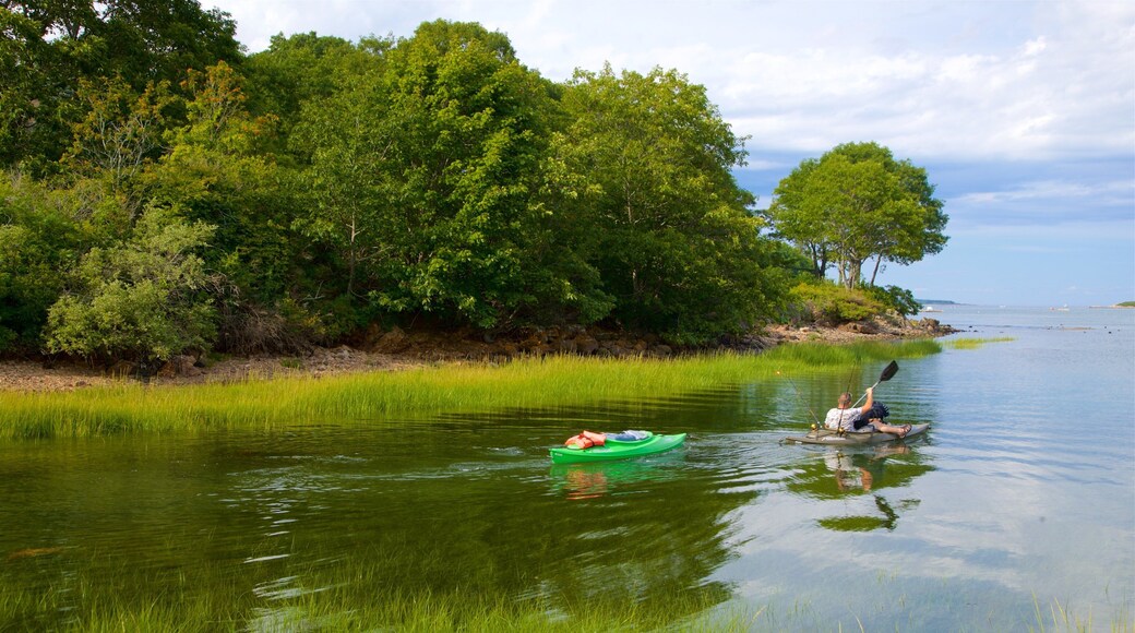 Cape Porpoise mostrando caiaque ou canoagem e um lago ou charco assim como um homem sozinho