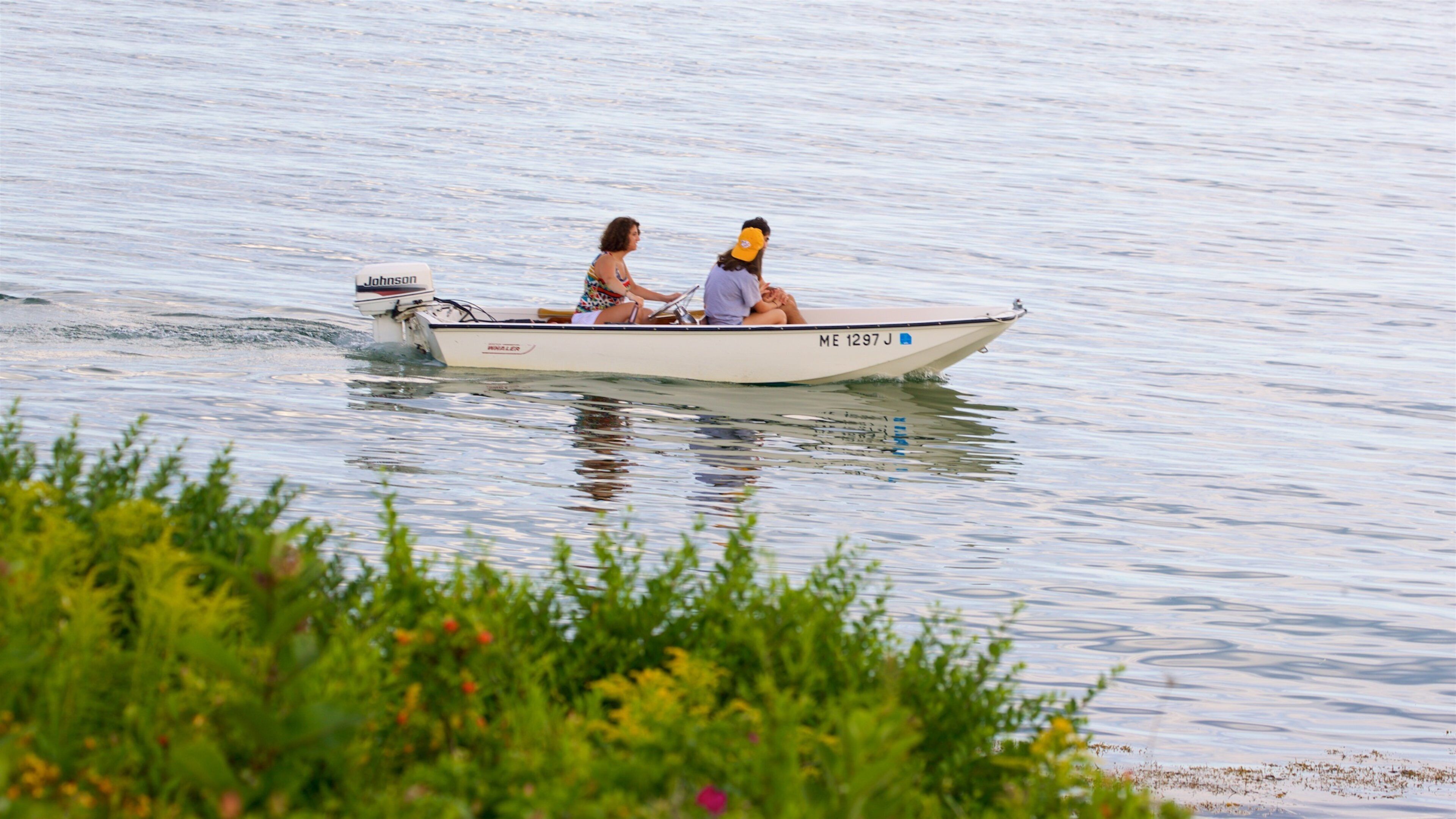Cape Porpoise que inclui canoagem e um lago ou charco assim como um pequeno grupo de pessoas