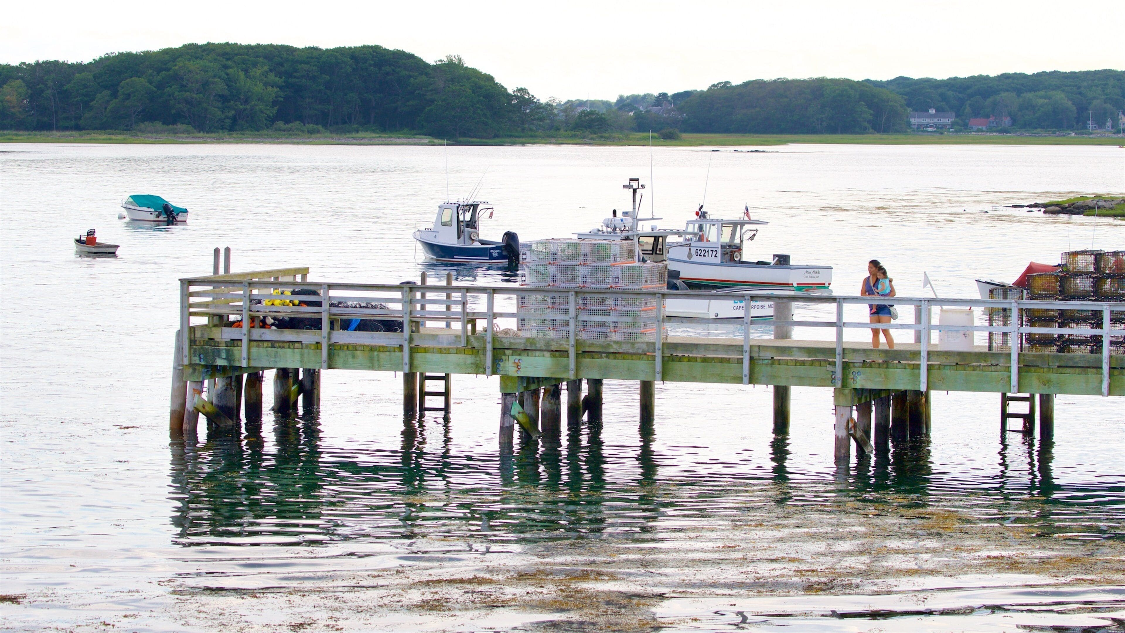 Cape Porpoise showing a lake or waterhole
