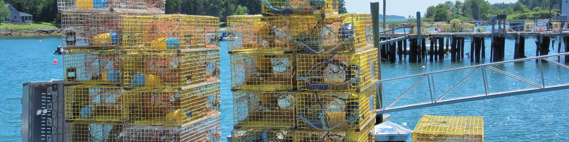 De nombreuses cages à homards jaunes sont empilées sur un quai en bois, au bord d’une étendue d’eau, avec une jetée en arrière-plan.