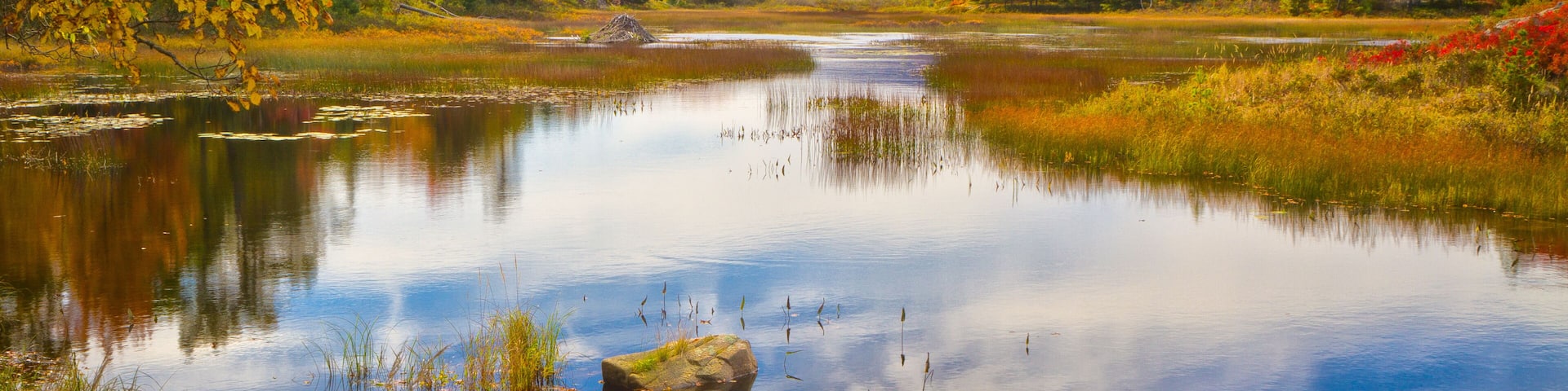 Acadia National Park in Fall