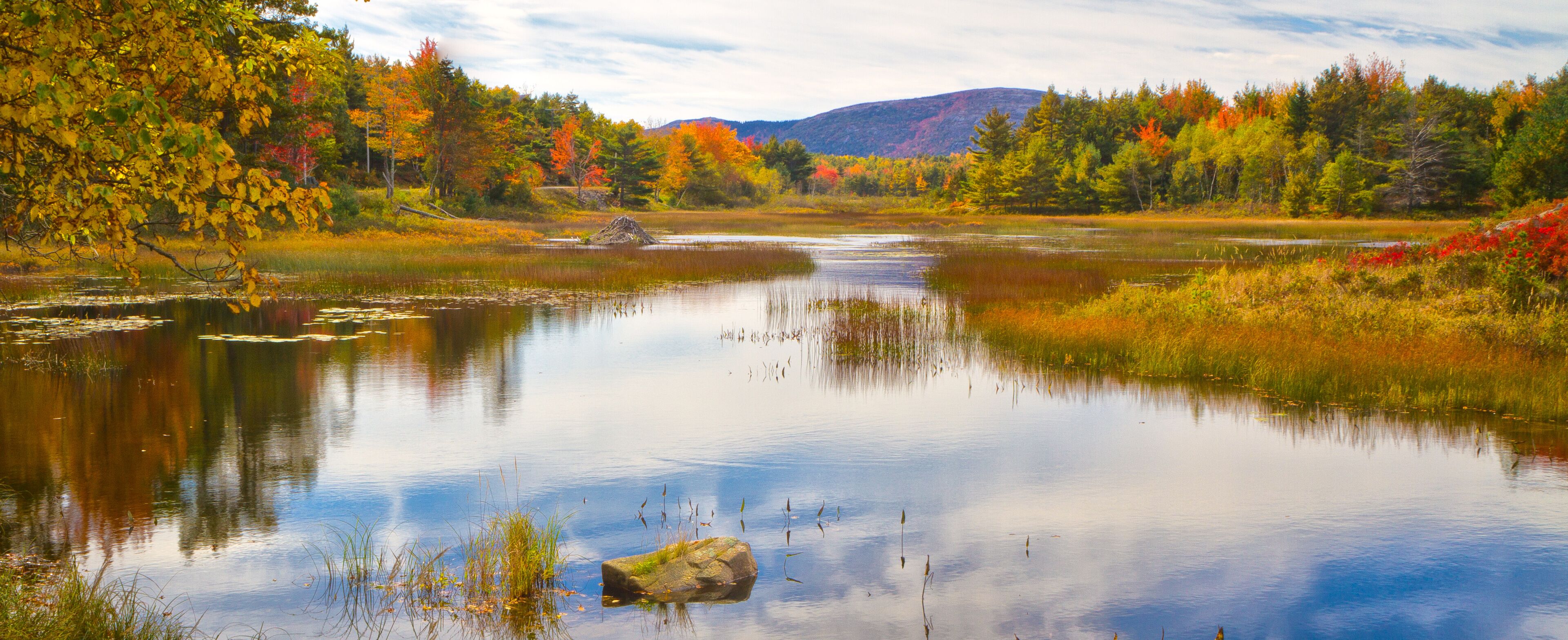 A calm lake surrounded by autumn-colored trees and a distant mountain range.