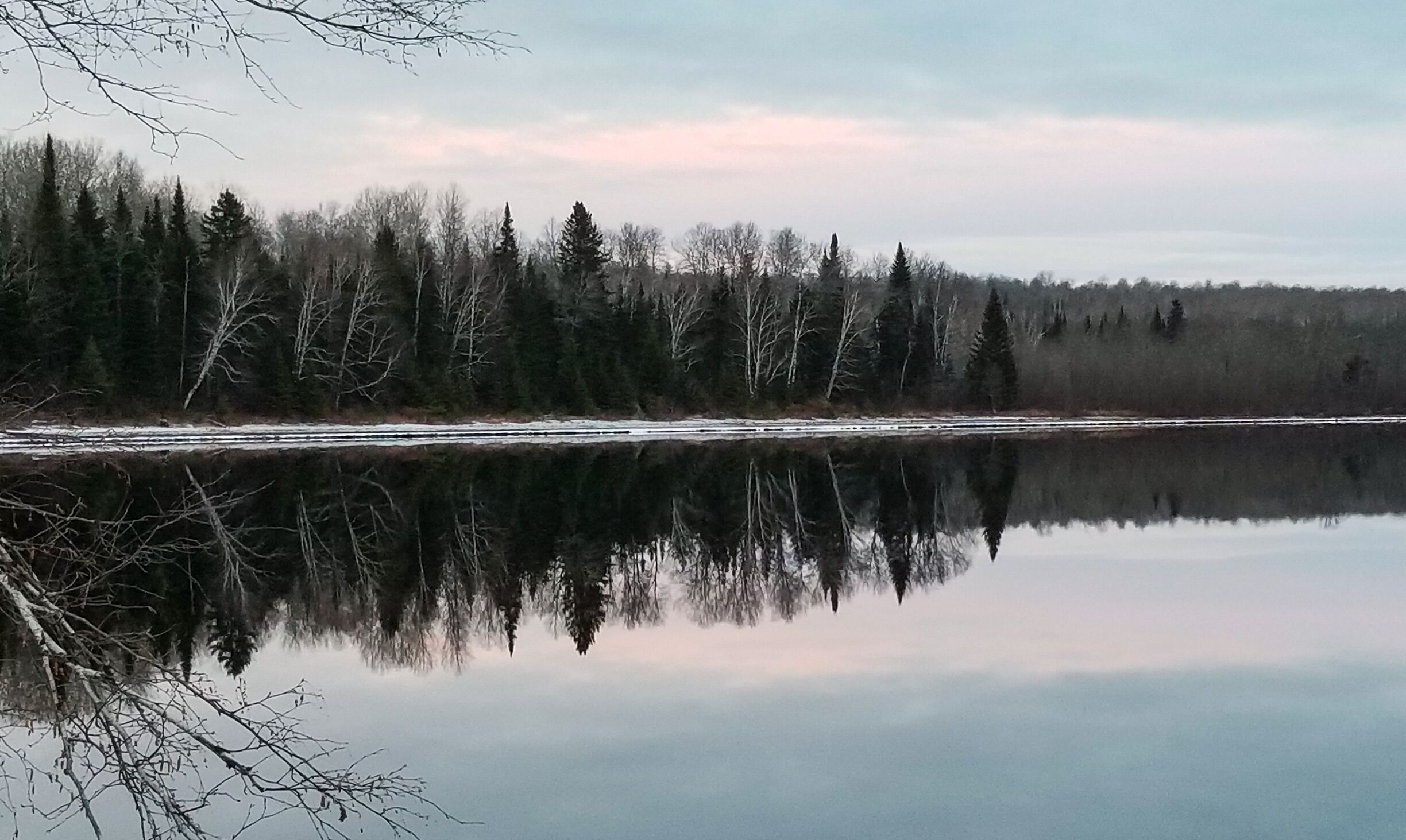 A calm lake with reflections of trees and a clear sky.