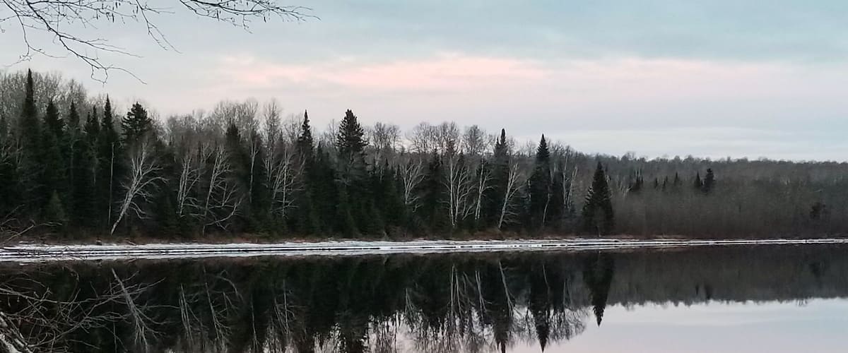 A calm lake with reflections of trees and a clear sky.