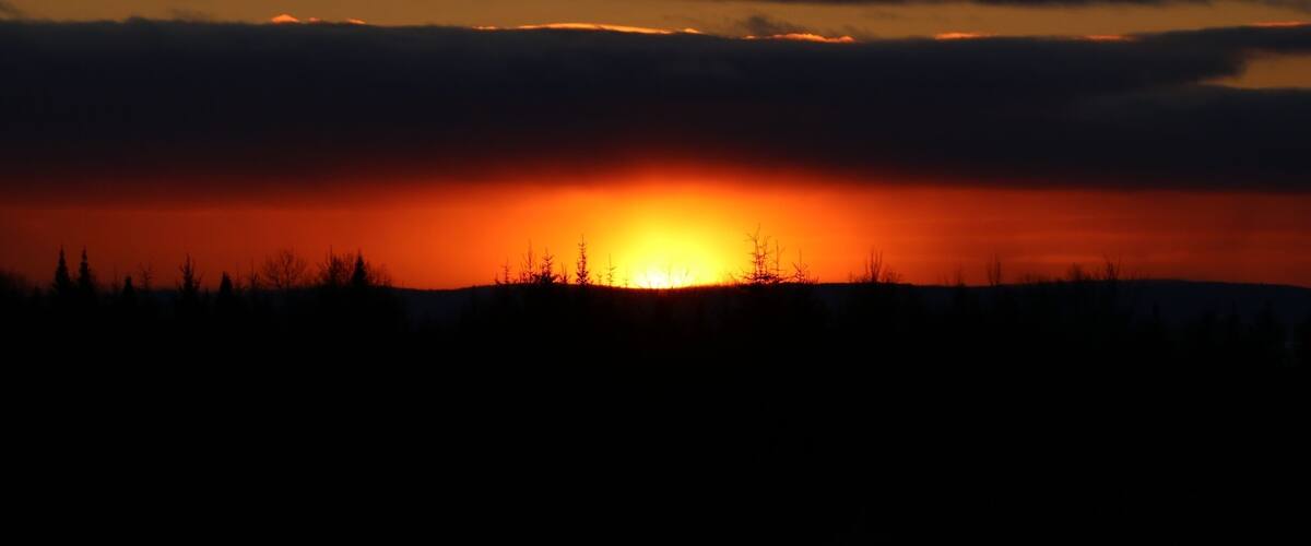 A sunset over a forested landscape with a silhouette of trees against a vibrant orange sky.