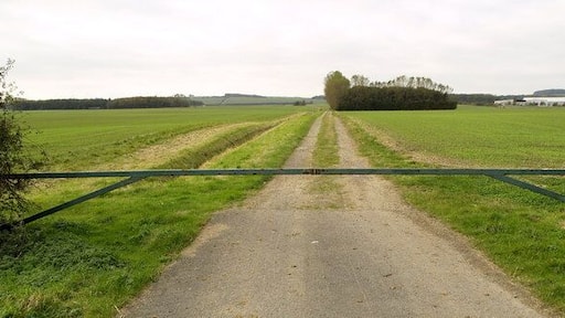 Farm Track