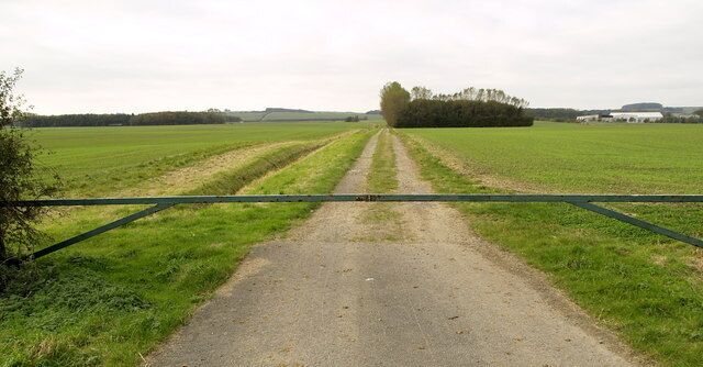 A rural road with a green gate, fields, and distant trees.