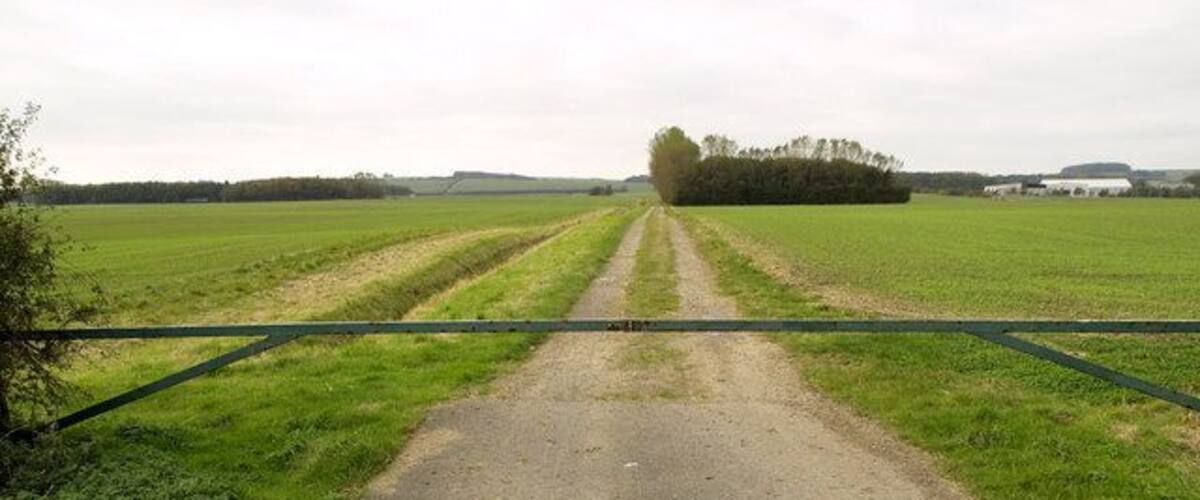 A rural road with a green gate, fields, and distant trees.