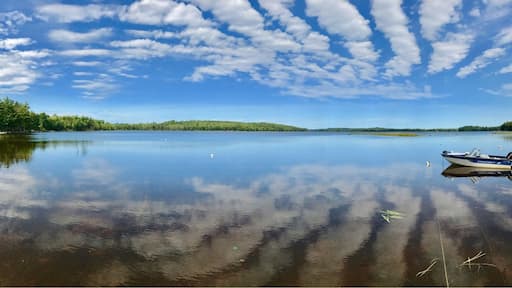 Looking out over Webb pond in Franklin,ME