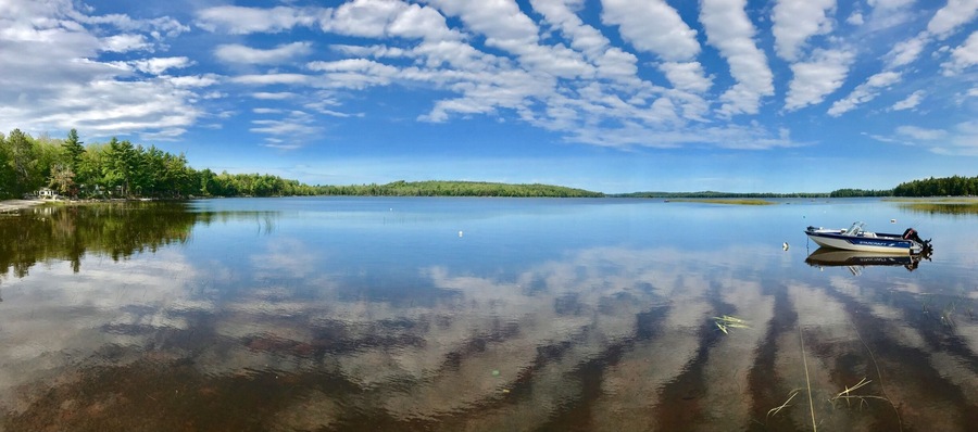 Looking out over Webb pond in Franklin,ME
