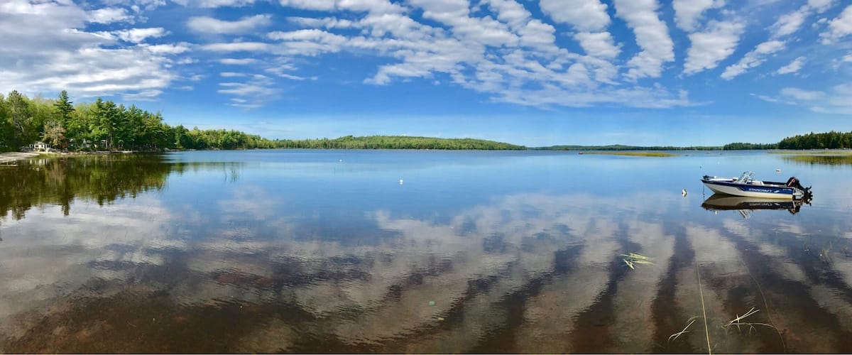 A calm lake with a boat, surrounded by dense forest and a clear sky.