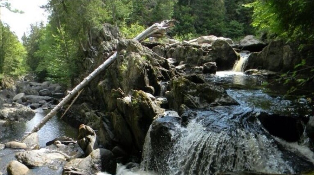 Secluded falls on Alder Stream are more scenic during higher water periods.