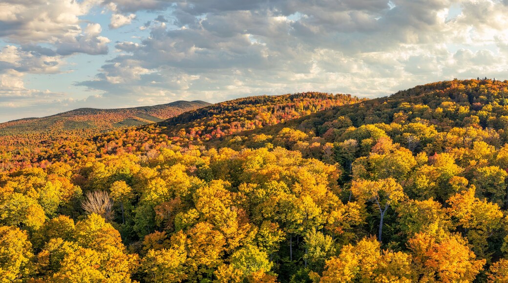 Beautiful fall foliage near Eustis, Maine - Carrabassett Valley
