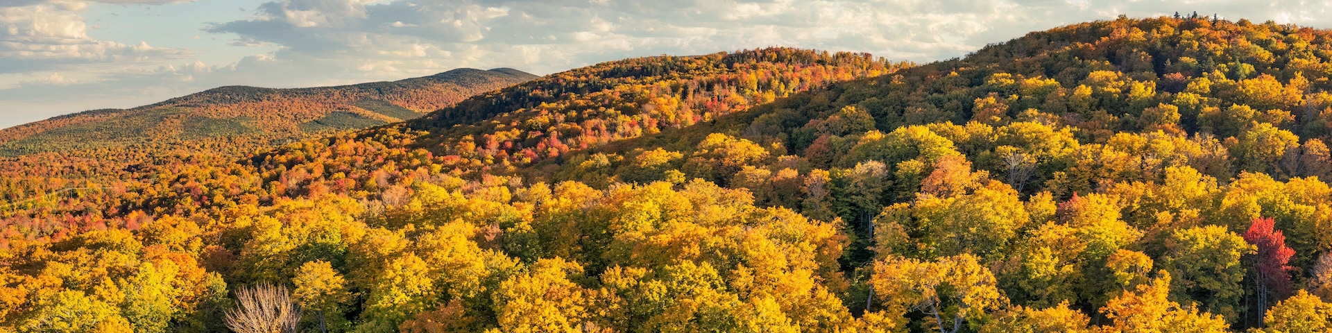Beautiful fall foliage near Eustis, Maine - Carrabassett Valley
