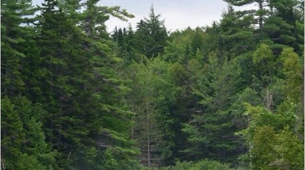 An uninhabitted and unspoiled treasure.