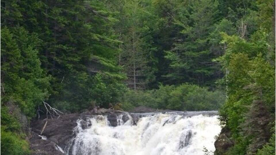 A waterfall surrounded by dense forest.