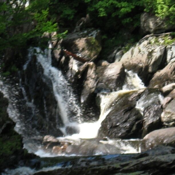 Alder Stream Falls.  Trout hole.