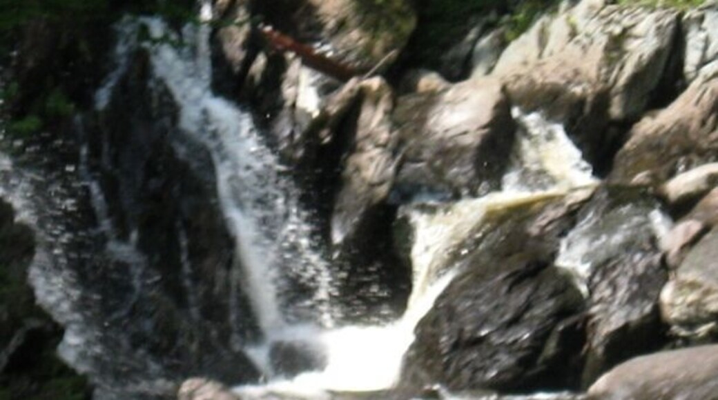 Alder Stream Falls. Trout hole.