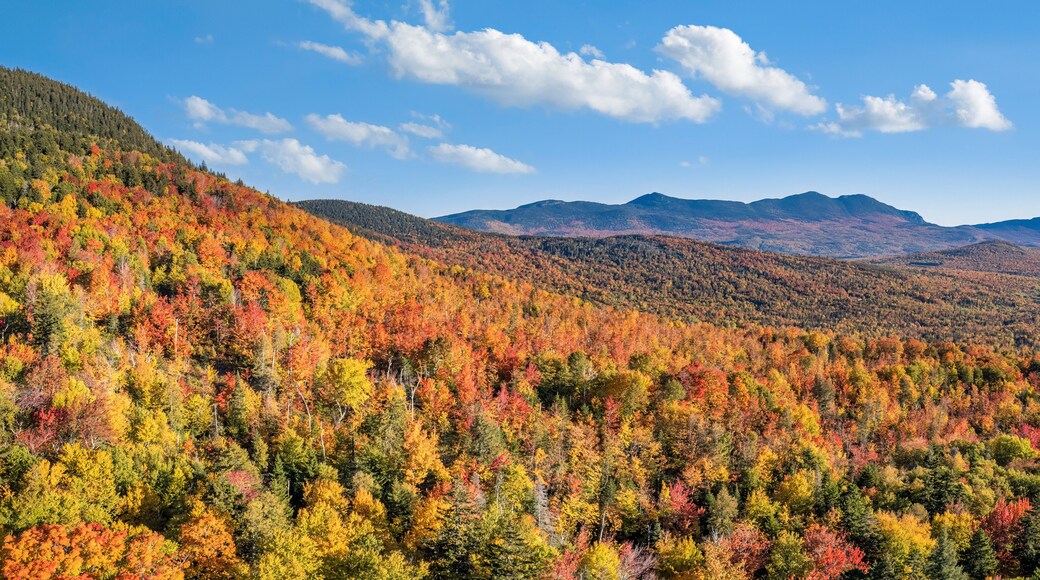 Beautiful fall foliage near Eustis, Maine - Carrabassett Valley - Bigelow Mountain Range