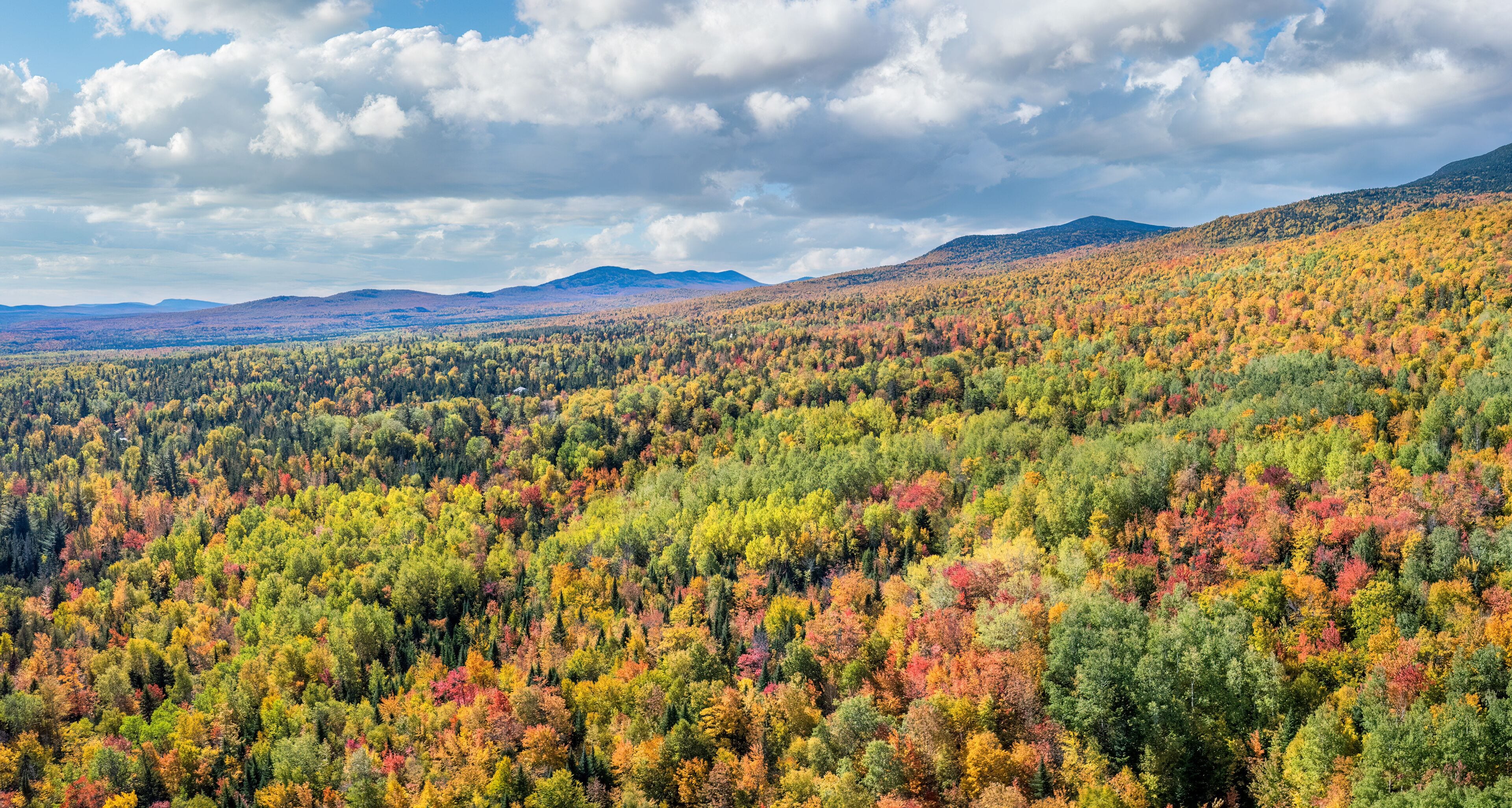 Autumn colors in the Carrabassett Valley  - Maine near Rangeley Road 16 and Eustis