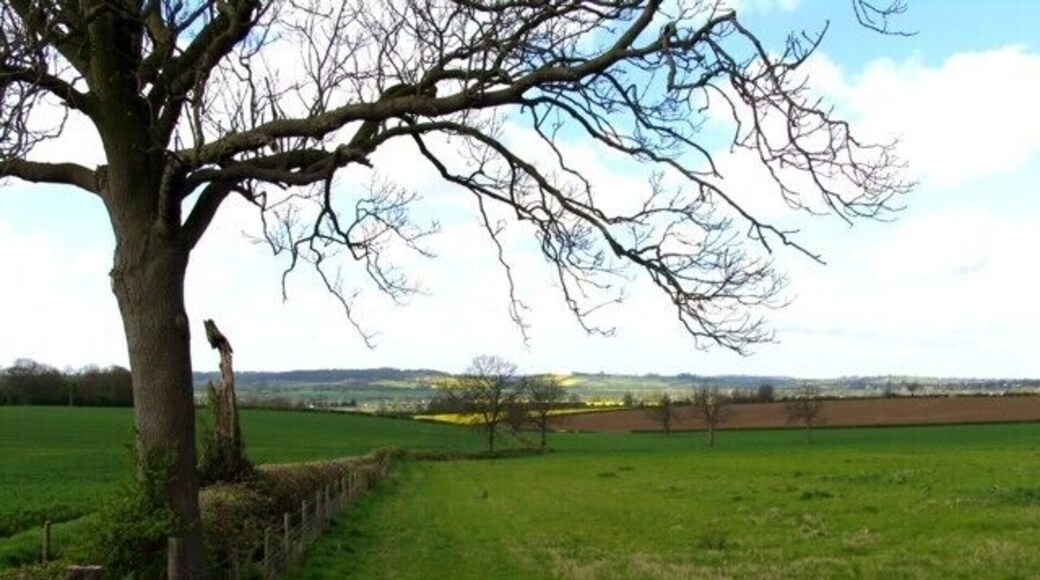 Along the diagonal to the south west