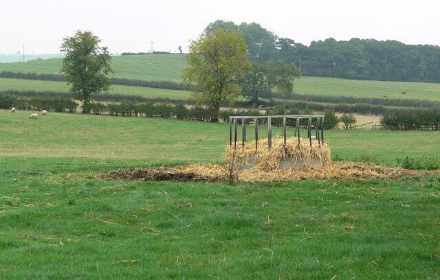 A rural landscape with a hay bale in a fenced area, a tree, and sheep grazing in the background.