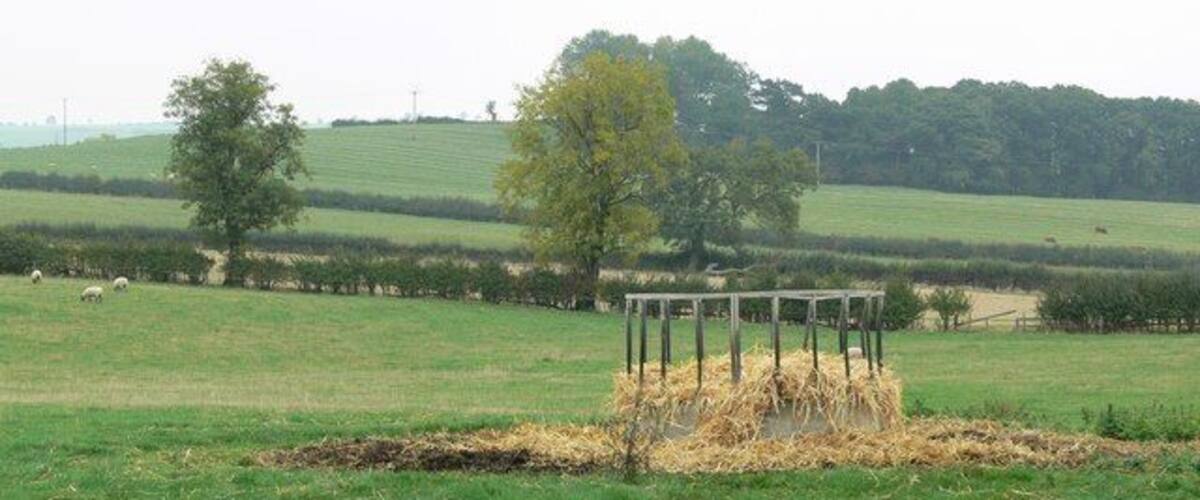 A rural landscape with a hay bale in a fenced area, a tree, and sheep grazing in the background.