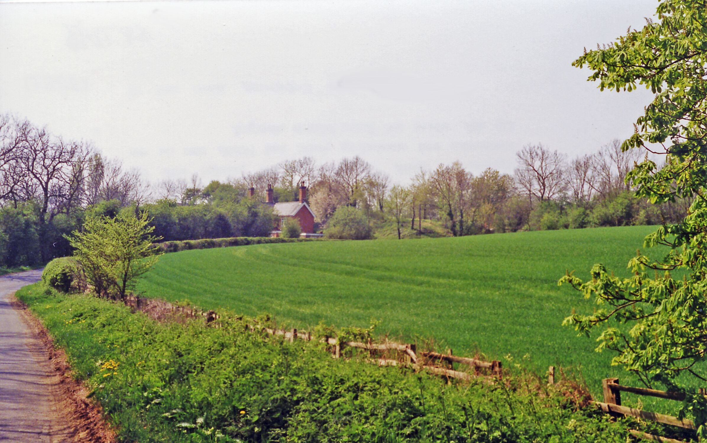 Approaching site of Hallaton station from the south, 1995. View northward, towards Melton Mowbray and Nottingham: ex-GN&LNE Joint line, Market Harborough - Melton Mowbray - Nottingham. Hallaton station closed when the passenger services ceased from 7/12/53, but freight traffic continued along the line until 11/67. The route had been important for coal traffic between Colwick (Nottingham) and Willesden (London). (Cf. 222677).