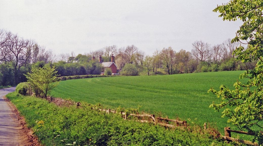 Approaching site of Hallaton station from the south, 1995. View northward, towards Melton Mowbray and Nottingham: ex-GN&LNE Joint line, Market Harborough - Melton Mowbray - Nottingham. Hallaton station closed when the passenger services ceased from 7/12/53, but freight traffic continued along the line until 11/67. The route had been important for coal traffic between Colwick (Nottingham) and Willesden (London). (Cf. 222677).