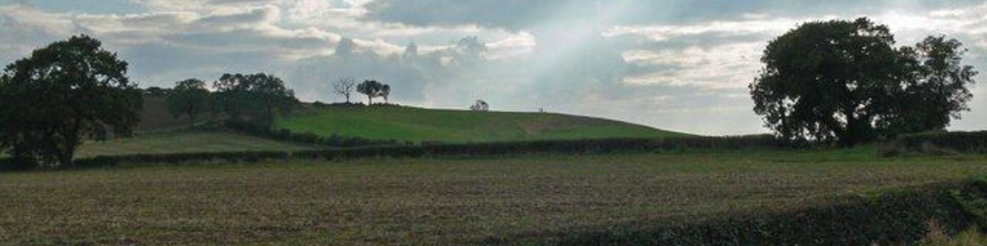 Paisagem rural com colinas ondulantes, árvores dispersas e um campo.