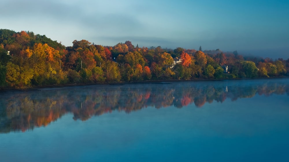 Ein ruhiger See mit Herbstlaubspiegelungen auf der Wasseroberfläche, umgeben von Bäumen und einem entfernten Haus.