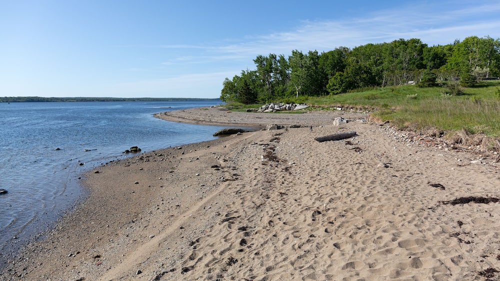 A sandy beach with footprints, a calm lake, and a forest in the background.