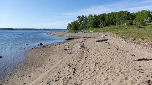 View the beach at Sandy Point Beach Park in Stockton Springs, Maine on a bright sunny morning.