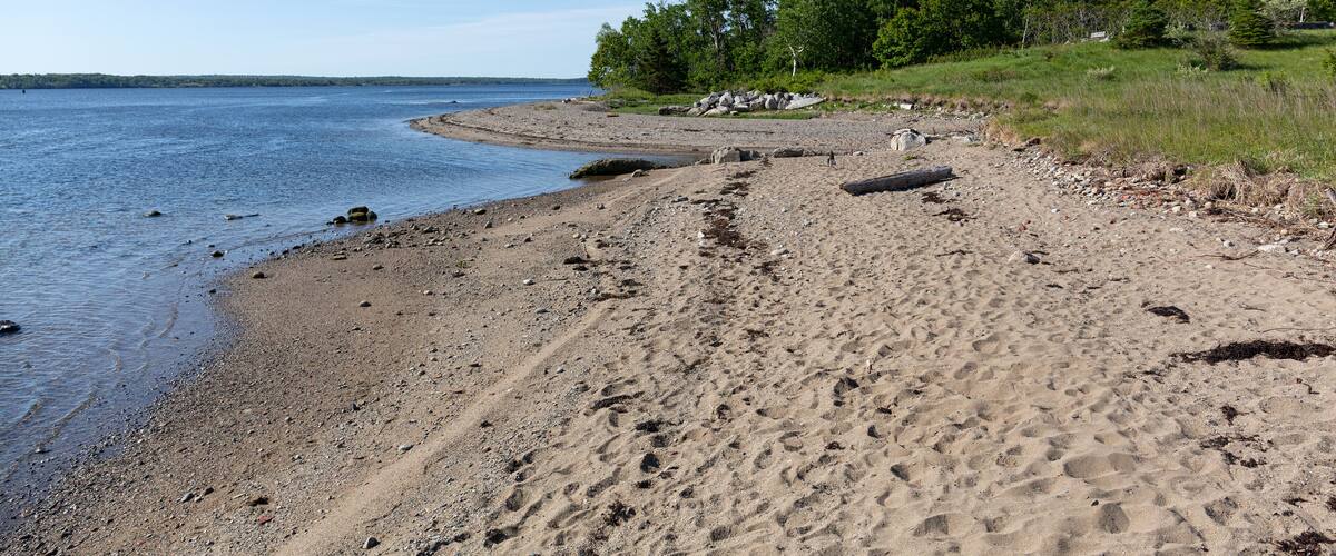 A sandy beach with footprints, a calm lake, and a forest in the background.