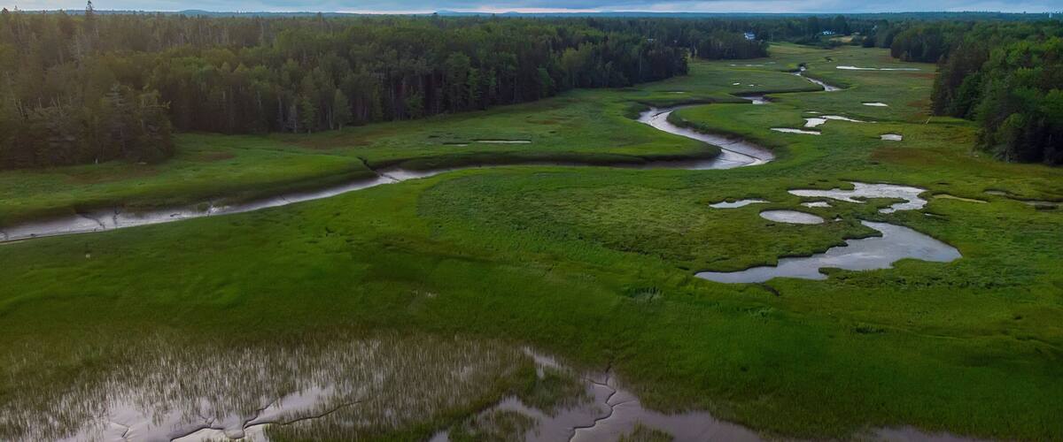 Harrington River from the sky at dusk