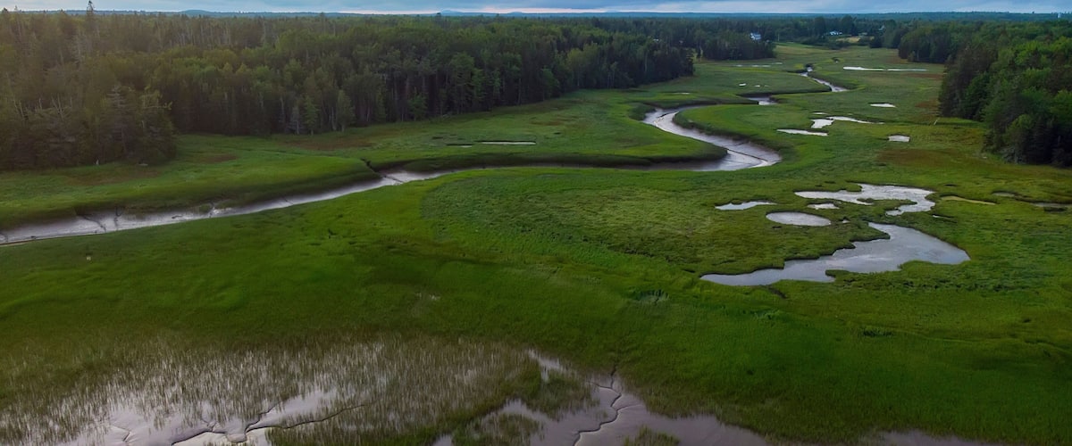 A river winding through a green landscape with patches of water and dense forests.