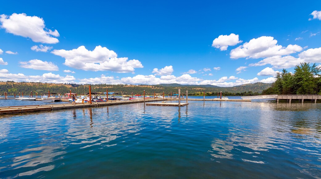 The Harrison marina and docks on lake Coeur d'Alene at the historic small town of Harrison Idaho.