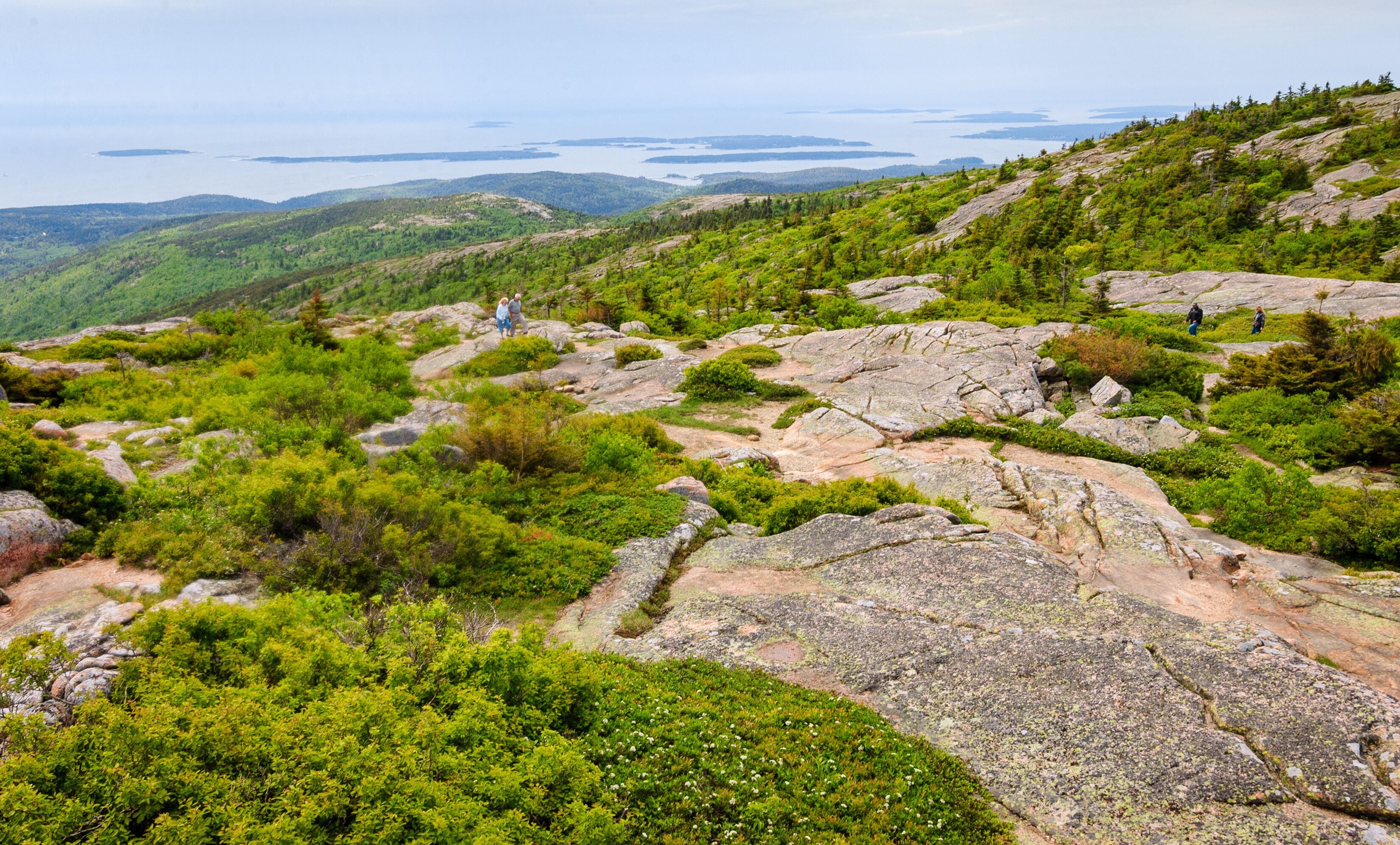 Acadia National Park