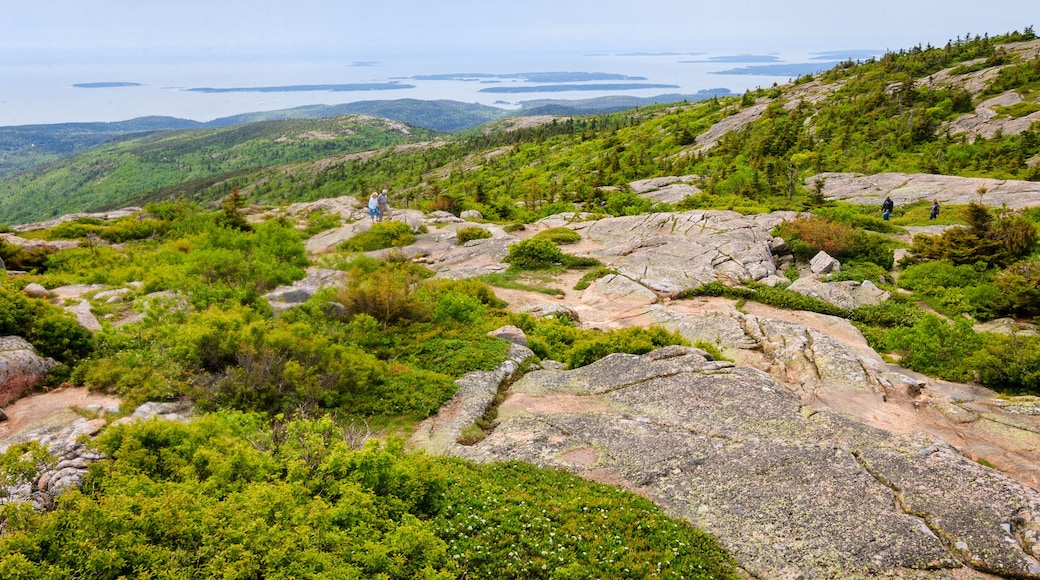 Acadia National Park