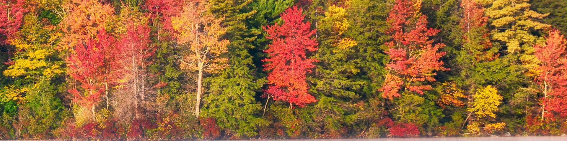 Autumn in new england lake reflection