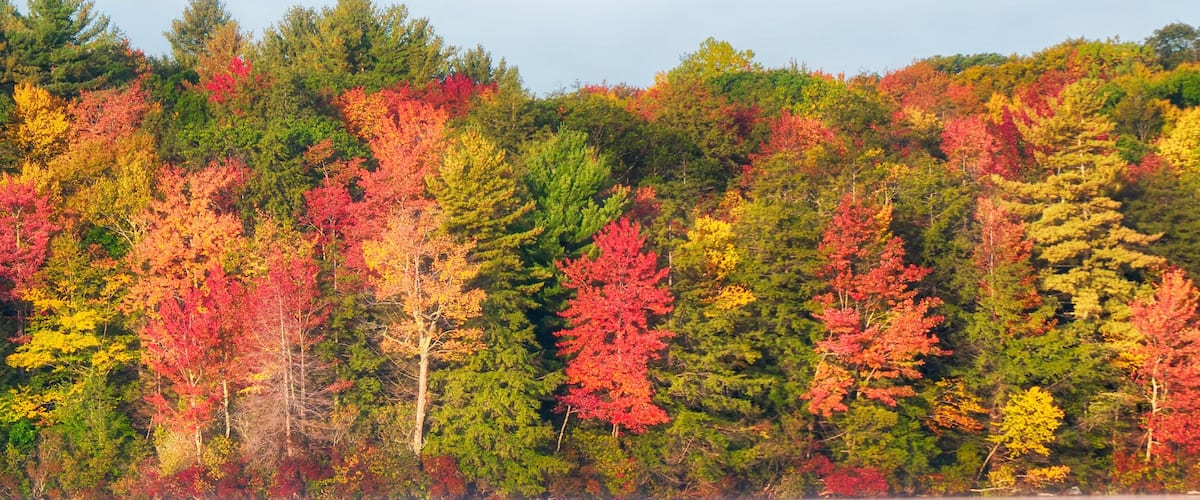 A calm lake reflecting colorful autumn trees.