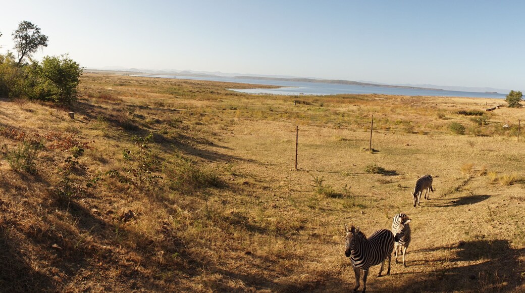 Safari camp near Binga at Lake Kariba between Zambia and Zimbabwe.
