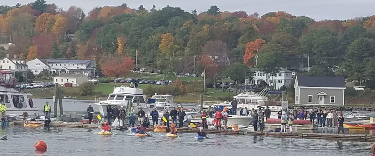 A waterfront scene with people in kayaks and boats, a dock, and houses in the background.